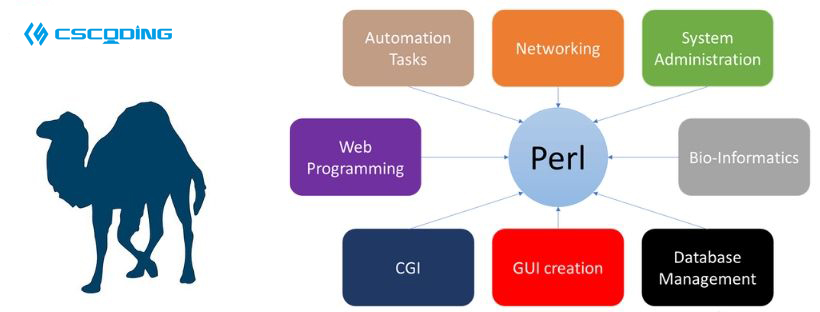  Perl Assignment Help(图1)