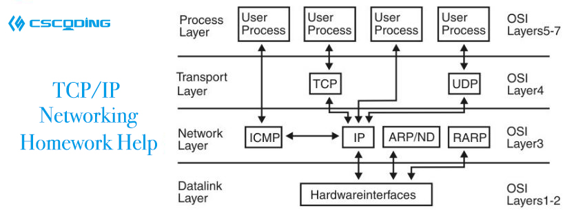  TCP/IP Networking Homework Help(图1)